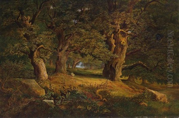 Waldlandschaft - view 1