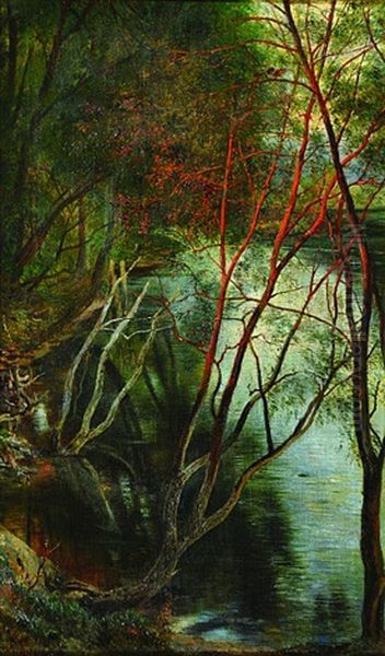 The Path Along The River - view 1