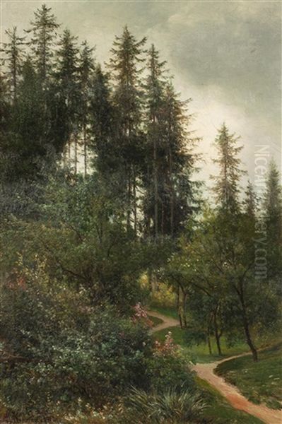Waldpartei Bei Marienbad - view 1