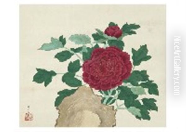 Peony - view 1
