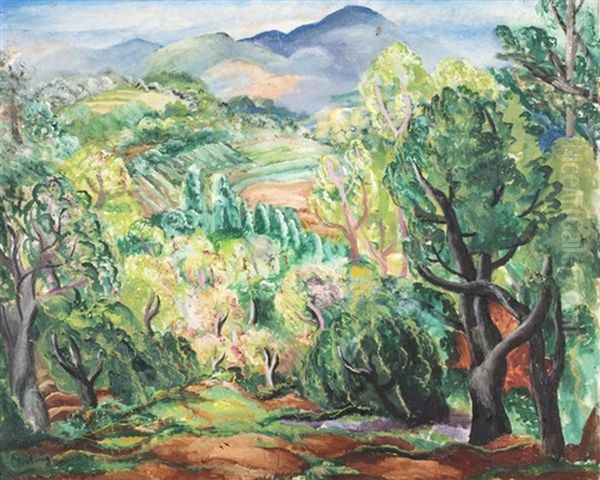 Paysage Mediterraneen - view 1