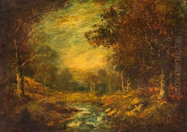 Forest Landscape - view 1