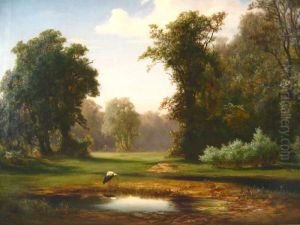 Stork By Edge On Pond by Hermann Bayer