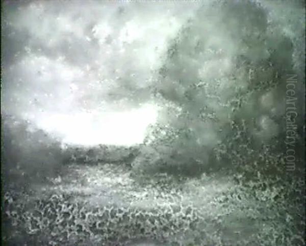 Mitcomet, Rhode Island-midsummer - view 1