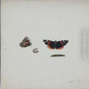 Summerbirds And Larvae by Johann Christoph Bayer