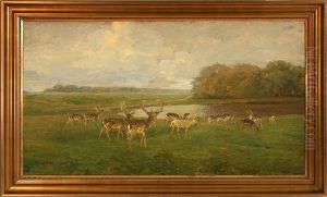 Oktoberstemning (fra Stokkerupdammen Paa Eremitagesletten) by Harold Kjaer