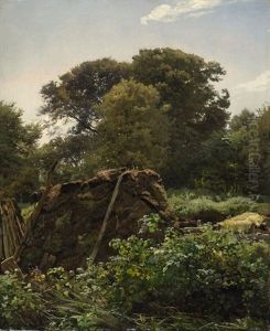 Waldstudie Waldstudie