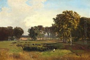 Summer Landscape Summer Landscape