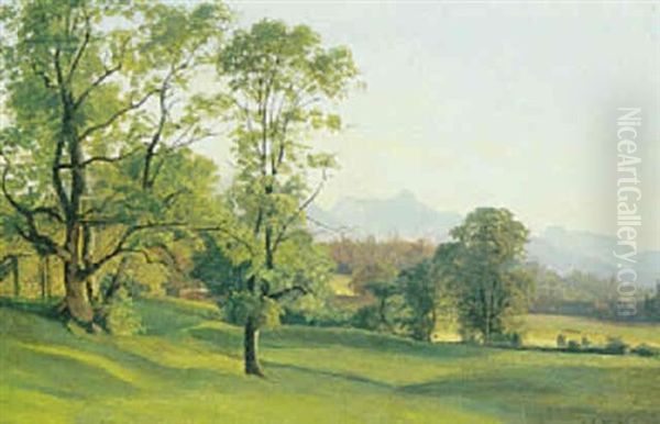 Sommerlandskab Med Slette, Sydeuropa - view 1