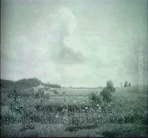 Udsigt Over Dansk Sommerlandskab - view 1