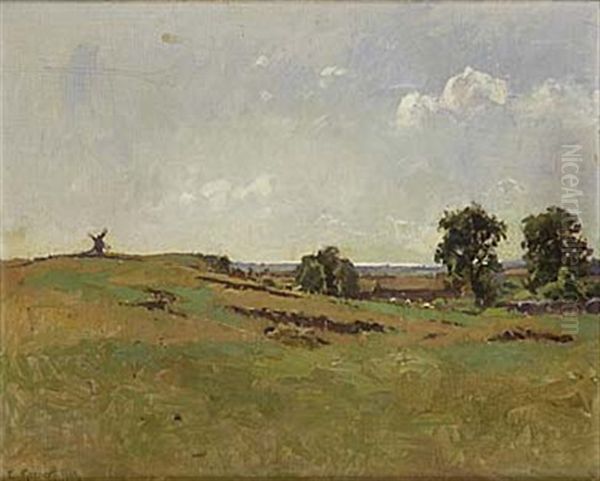Landskap Fran Oland - view 1