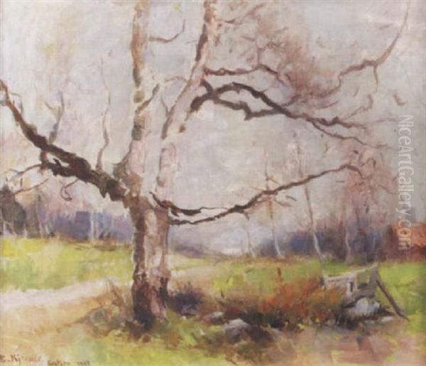 Varlandskap Med Trad - view 1