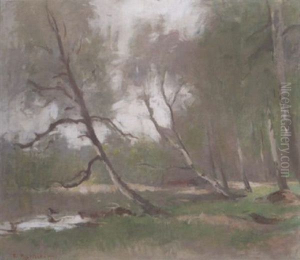 Fran Parken Drottningholm - view 1