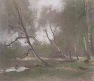 Fran Parken Drottningholm