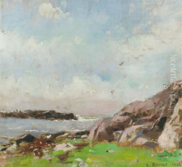 Klippor Vid Hallands Kust - view 1