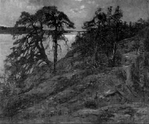 Manskenslandskap - view 1
