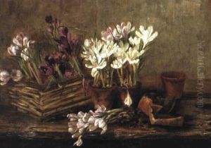 Krokusodling by Esther Kjerner
