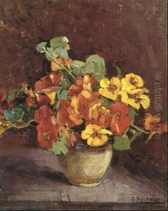 Blommande Krasse I Kruka