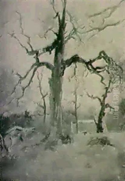 Landskap Fran Karson, Drottningholm - view 1