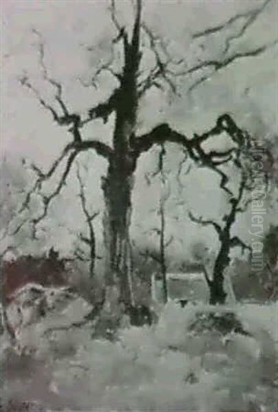 Trad - view 1