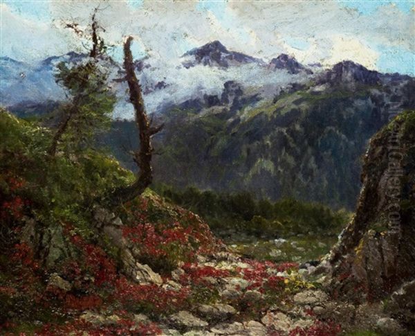 Hochgebirgslandschaft - view 1