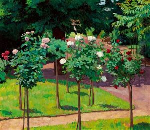 Rose Garden In Szolnok by Janos Kleh