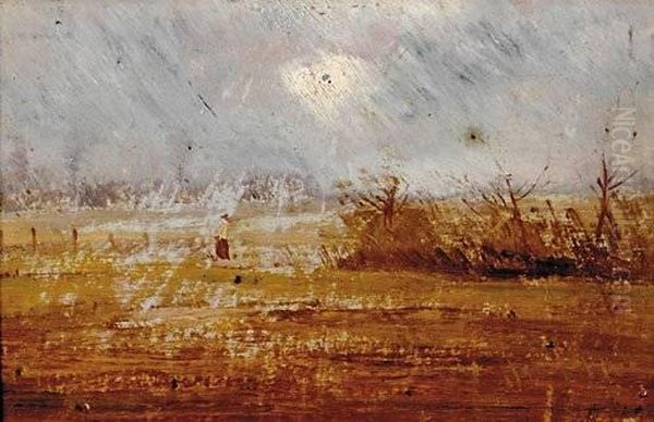Windy Field In Autumn - view 1