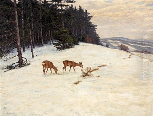 Asende Rehe Im Schnee Am Waldrand - view 1