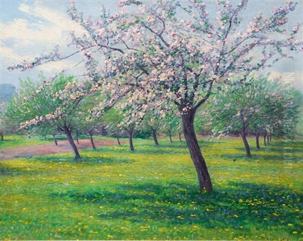 Blooming Apple Trees - view 1
