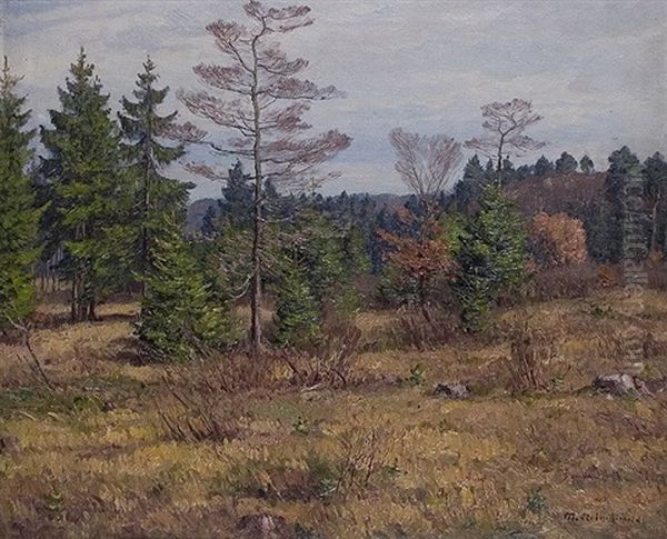 Autumn In The Heath - view 1