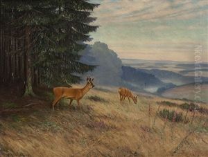 Rotwild Am Waldrand by Maximilian Klein Von Diepold
