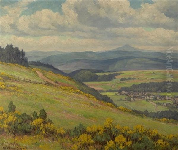 Blick In Eifellandschaft Zur Ginsterblute - view 1