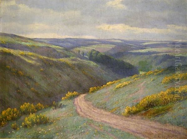 Ginsterblute In Der Eifel - view 1