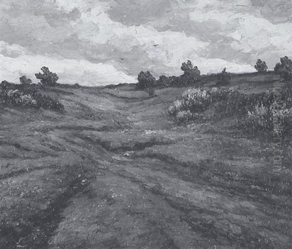 Heidelandschaft - view 1