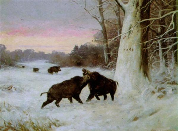 Wildschweinrudel Im Abendlichen Winterwald - view 1
