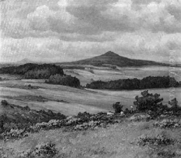 Blick Uber Bluhende Ginsterhange Auf Die Hohe Acht In Der Eifel - view 1