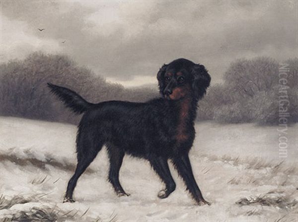 Jagdhund Auf Verschneitem Feld - view 1