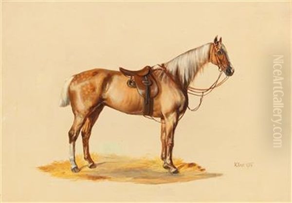 Saddled Horse - view 1