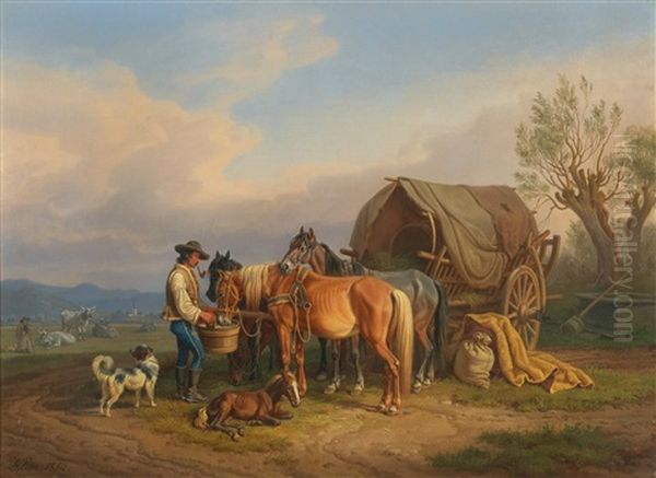 Resting On The Pasture - view 1
