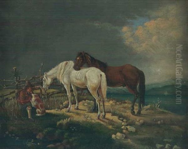 Zwei Pferde Auf Der Weide - view 1