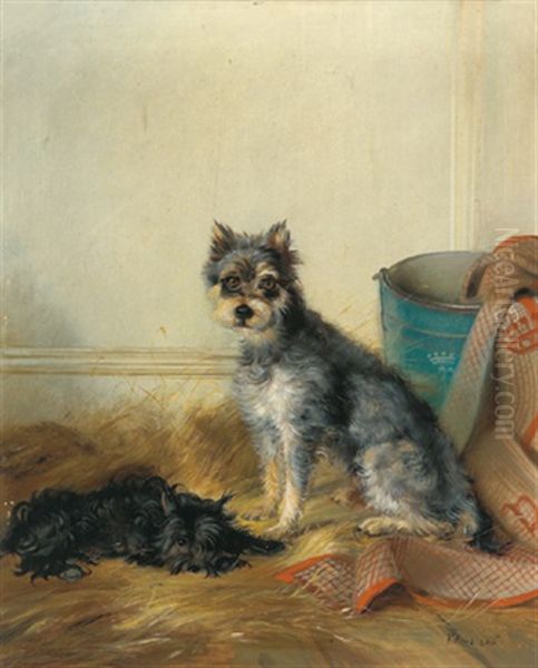 Zwei Hunde (terrier?) - view 1