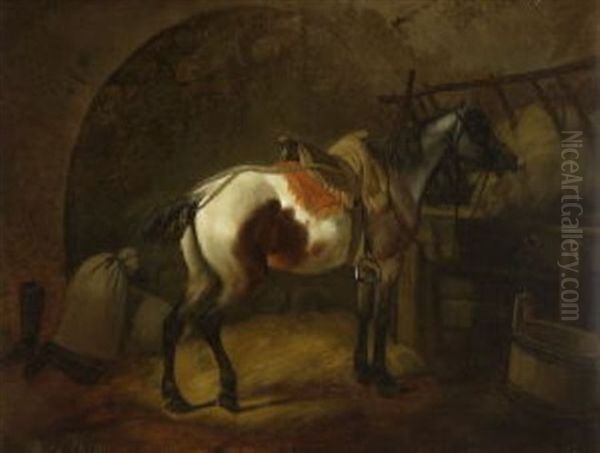 Pferd Im Stall - view 1