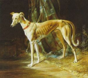 Der Windhund