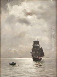 Nocturnal Sailing