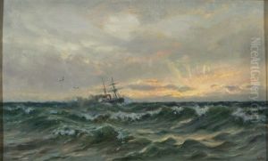 Steam Ship Steam Ship