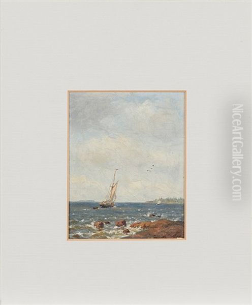 Windy Day By The Coast - view 1