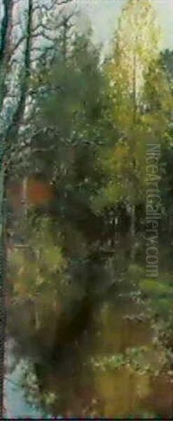 Waldbach - view 1