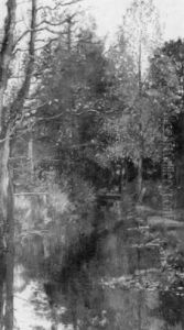 Waldteich