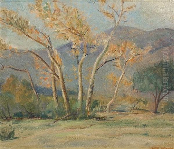 Autumn Trees - view 1