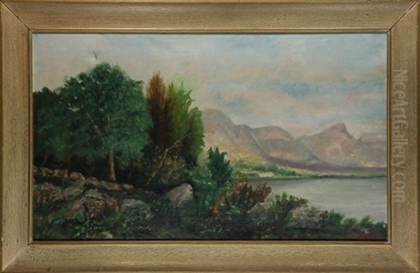Mountain Lake - view 1